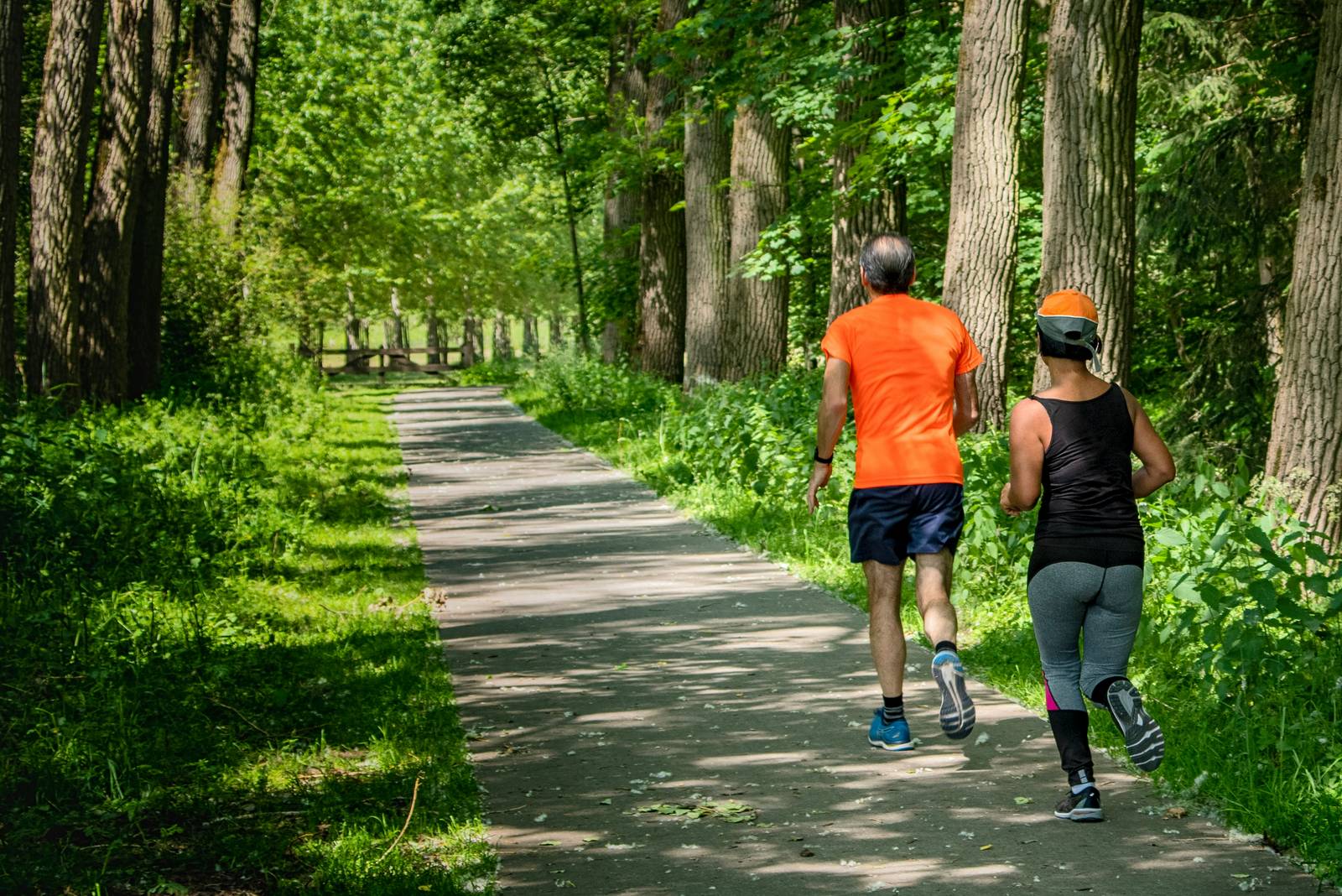 Two hobby joggers running side by side down a tree-lined path in dappled morning light